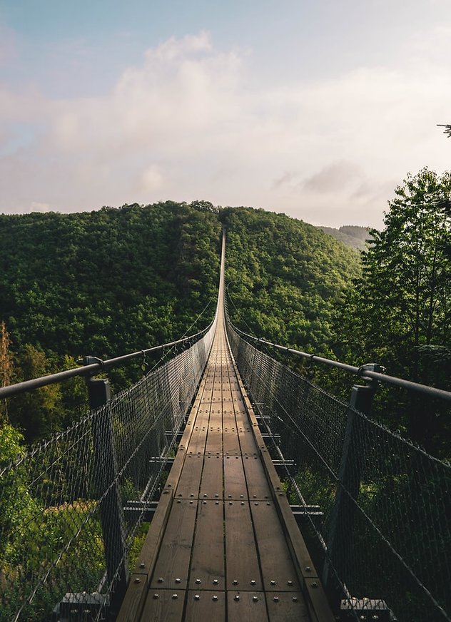 Testimonials. Rope Bridge